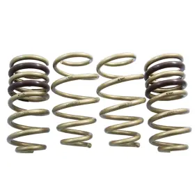 Ls0503-0115 Ark Performance Gt-s Aggressive Lowering Springs For 2015 Ford Mustang