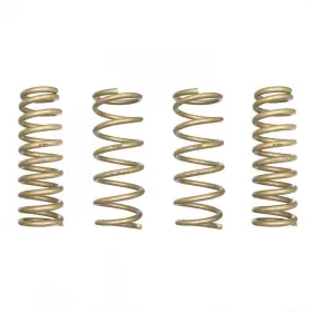 Ls1504-0113 Ark Performance Gt-s Lowering Springs For 2013-2019 Lexus Gs 350 Rwd