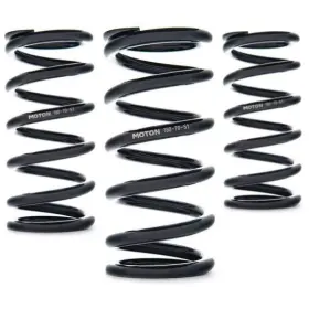 Ast-80-20-61 Ast Linear Race Springs - 80mm Length 20 N/mm Rate 61mm Id