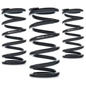 Astast-200-90-61 Ast Linear Race Springs - 200mm Length X 90 N/mm Rate 61mm Id Set Of 2