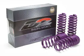 D-sp-hn-47 D2 Racing Lowering Springs For Civic 88-91 Integra 90-93 F-2.5 R-2.25 Drop Kit