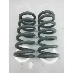 Cs2599-2 Djm Coil Spring Suspension Set For 1999-2006 Chevy 1500
