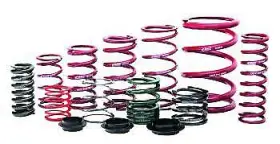 1100.550.0900 Eibach Racing Springs