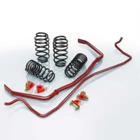 4.1035.880 Eibach Springs And Sway Bars For Mercury Capri Pro-plus Kit