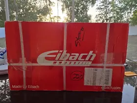 38160.140 Eibach 674250 Pro Kit 2012- 2020 Chevy Sonic Lowering Springs