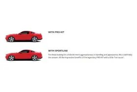 E10-87-001-01-22 Eibach - 1.2 Inch X Pro-kit Front And Rear Lowering Coil #3