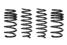 E10-87-001-10-22 Eibach Pro-kit Ev Lowering Springs For 22-23 Tesla Model 3 Lfp