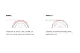 Eibe10-87-002-02-22 Eibach Pro-kit Ev For 24-25 Tesla Model Y Rwd
