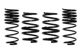 E10-63-039-01-22 Eibach Springs E10 63 039 01 22 Set Of 4