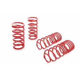 Tlx-eib4.0138-cl360a71 Eibach For Pontiac Firebird 1982-1992 Sportline Kit