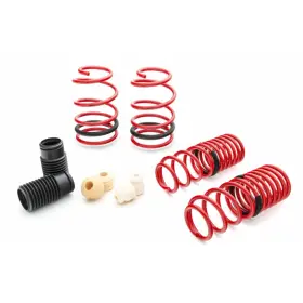 Tlx-eib4.10135-cl360a70 Eibach For Mustang S197 2007 08 09 2010 V8 Sportline Kit