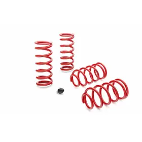 Tlx-eib4.1035-cl360a70 Eibach For Ford Mustang V8 1979-2004 Sportline Kit