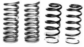 M-5300-b Ford Performance Lowering Spring Kit