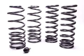M-5300-g Ford Performance Parts Fits For M 5300 G Spring Kit 79 04 Capri #3