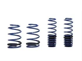 M-5300-pa Ford Performance Parts Compatible With/replacement For Lowering Spring Kits