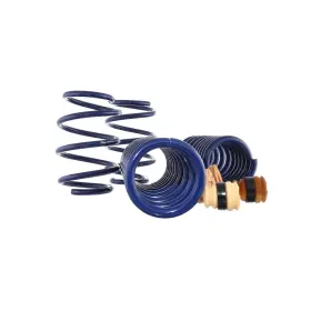 M-5300-ya Ford Performance Parts Spring Kit Fits 15-21 Mustang #2