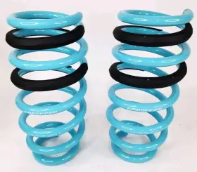 Ls-ts-de-0003 Godspeed Project 2 F Traction Lowering Springs For Dodge Challenger 09-19