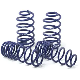 50435-4 H&r Lowering Springs Set Of 4 Front And Rear For E71 X6 Series Bmw E70 X5