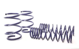 Hrs50464-88 H&r For 1996-03 Bmw 540i E39 Race Spring Non Touring And Without Sport Susp