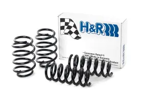 29019-1 H&r Special Springs Lp Ultra Low Coil Over Kit #2