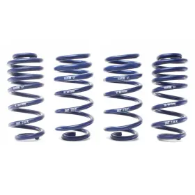 Tlx-hrs28687-2-cl360a70 H&r For Audi A6 Quattro Awd F2 2019 Sport Spring With Suspension