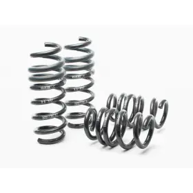 Tlx-hrs29058-1-cl360a70 H&r For Audi R8/r8 Cabrio 2008-2015 V8/v10 Sport Spring