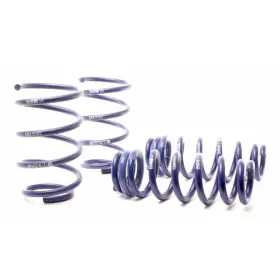 Tlx-hrs29187-5-cl360a70 H&r For Bmw 335d 2009-2011 Sedan E90 Sport Spring