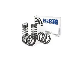 Hr 85nrjbm47 Coil Spring Lowering Kit / Shock Absorber For 645ci 650i 2004 2005
