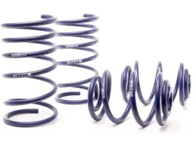 Hr 97wxjrn12 Coil Spring Lowering Kit / Shock Absorber For Bmw 318i 1984 1985