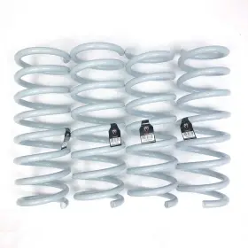 M&s America 8025211338841 Storm Line Lowering Springs For Hyundai Genesis Sedan Dh 3.8l Awd Rwd 15 16
