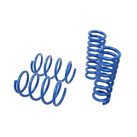 Lsmb-w204 Manzo Performance Lowering Springs Kit For Mercedes Benz 2008-2014 C-class W204