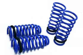 Mr-ls-lg498 Megan Racing Lowering Springs For Lexus Gs400/430 98-05