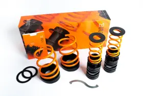 02ahoncfk8 Mss Suspension Fits Honda Civic Fk8 Type-r Adjustable Kit