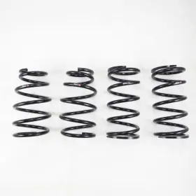 T027d Rs-r Rsr Down Sus Springs