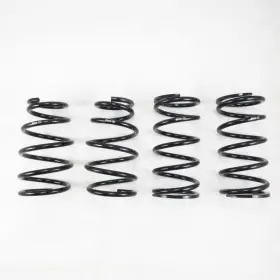 T183d Rs-r For 2019 Lexus Es350 F-sports Down Sus Springs