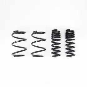 T215d Rs-r Rsr Down Sus Springs