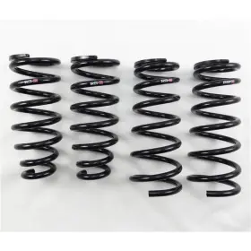 Jzs160 Rs-r T223d Down Sus Lowering Springs For Lexus Gs300/400/430 1998 To 2005 -