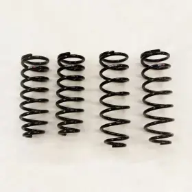 Ucf30 Rs-r T284d For 01-06 Lexus Ls430 Ucf30/31 Down Lowering Springs Ucf30 Rs-r T284d For 01-06 Lexus Ls430 Ucf30/31 Down Lowering Springs