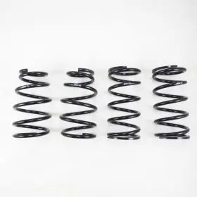 T312d Rs-r Rsr Down Sus Springs