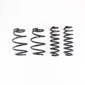 T544d Rs-r Rsr Down Sus Springs