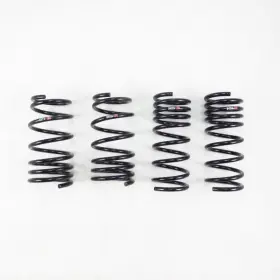 T557d Rs-r Rsr Down Sus Springs