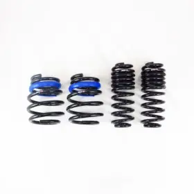 T558d Rs-r Rsr Down Sus Springs