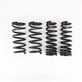T595d Rs-r Rsr Down Sus Springs