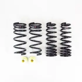 T595s Rs-r Rsr Super Down Springs