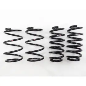 Zwa10 Rs-r Usa T100d Down Sus Lowering Springs For Lexus Ct200h 2010 -