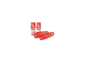 Zx61b4 Skunk2 Front And Rear Coil Spring Lowering Kit / Shock Absorber For Civic