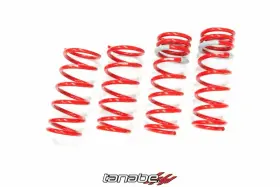 Tnf113 Tanabe Sustec Nf210 Lowering Spring For 2006-2013 Lexus Is250 Is350 Tnf113 Tanabe Sustec Nf210 Lowering Spring For 2006-2013 Lexus Is250 Is350