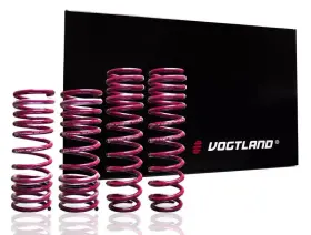 951657 Vogtland Sport Lowering Springs