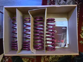 957007 Vogtland Sport Lowering Springs For 1994-2001 Acura Integra