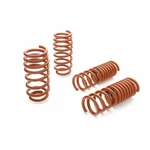 Eibach For Chrysler 300 2011-2019 Sportline Kit. Fixed Price $454.44.